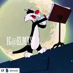 Meet your Posher, Corey